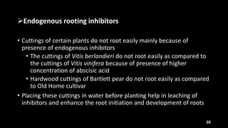 Physiological, anatomical and biochemical aspects of root | PPTX