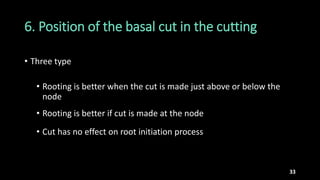 Physiological, anatomical and biochemical aspects of root | PPTX