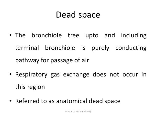 anatomical dead air space anatomical dead air space