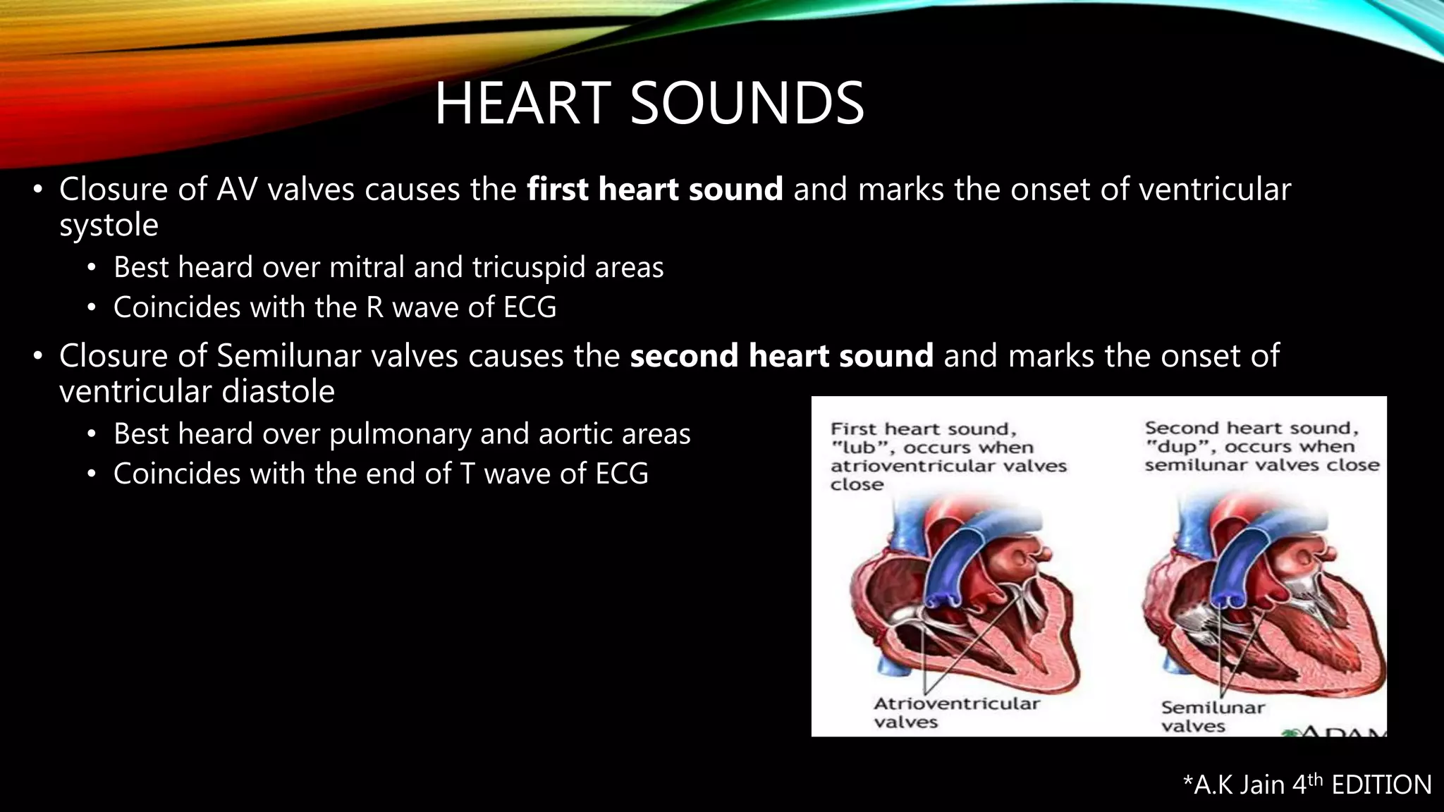 Physiological anatomy of the heart and respiratory system PPTX
