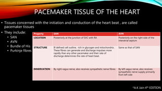 Physiological anatomy of the heart and respiratory system | PPTX