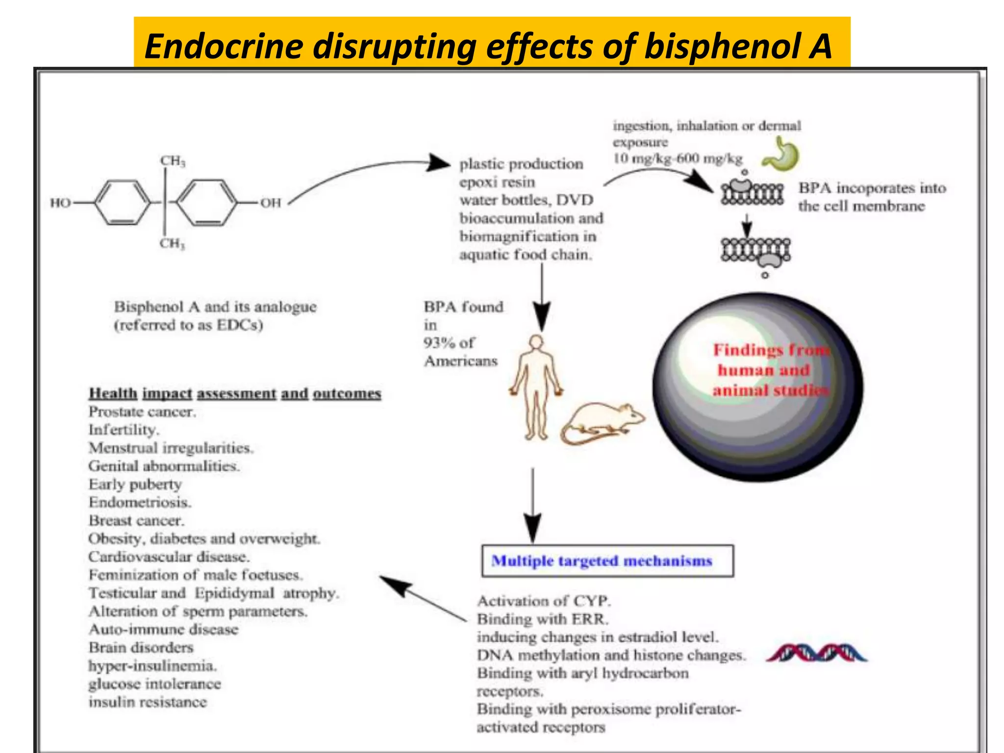 physiological-and-histopathological-effects-of-bisphenol-a-pptx