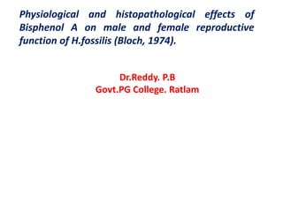 Physiological and histopathological effects of
Bisphenol A on male and female reproductive
function of H.fossilis (Bloch, 1974).
Dr.Reddy. P.B
Govt.PG College. Ratlam
 