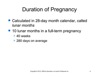 Physiological and psychological changes during pregnancy | PPT