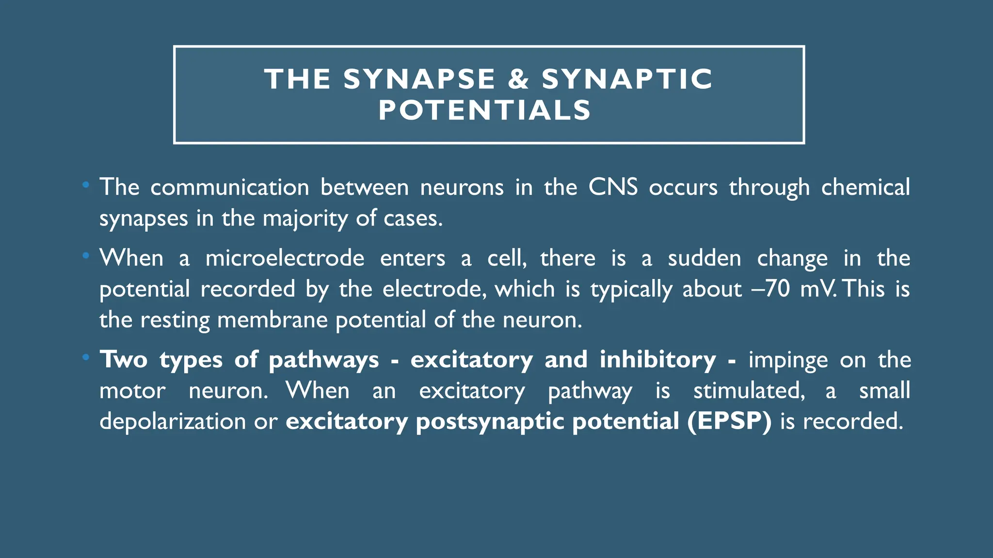 THE SYNAPSE & SYNAPTIC
POTENTIALS
• The communication between neurons in the CNS occurs through chemical
synapses in the majority of cases.
• When a microelectrode enters a cell, there is a sudden change in the
potential recorded by the electrode, which is typically about –70 mV.This is
the resting membrane potential of the neuron.
• Two types of pathways - excitatory and inhibitory - impinge on the
motor neuron. When an excitatory pathway is stimulated, a small
depolarization or excitatory postsynaptic potential (EPSP) is recorded.
 
