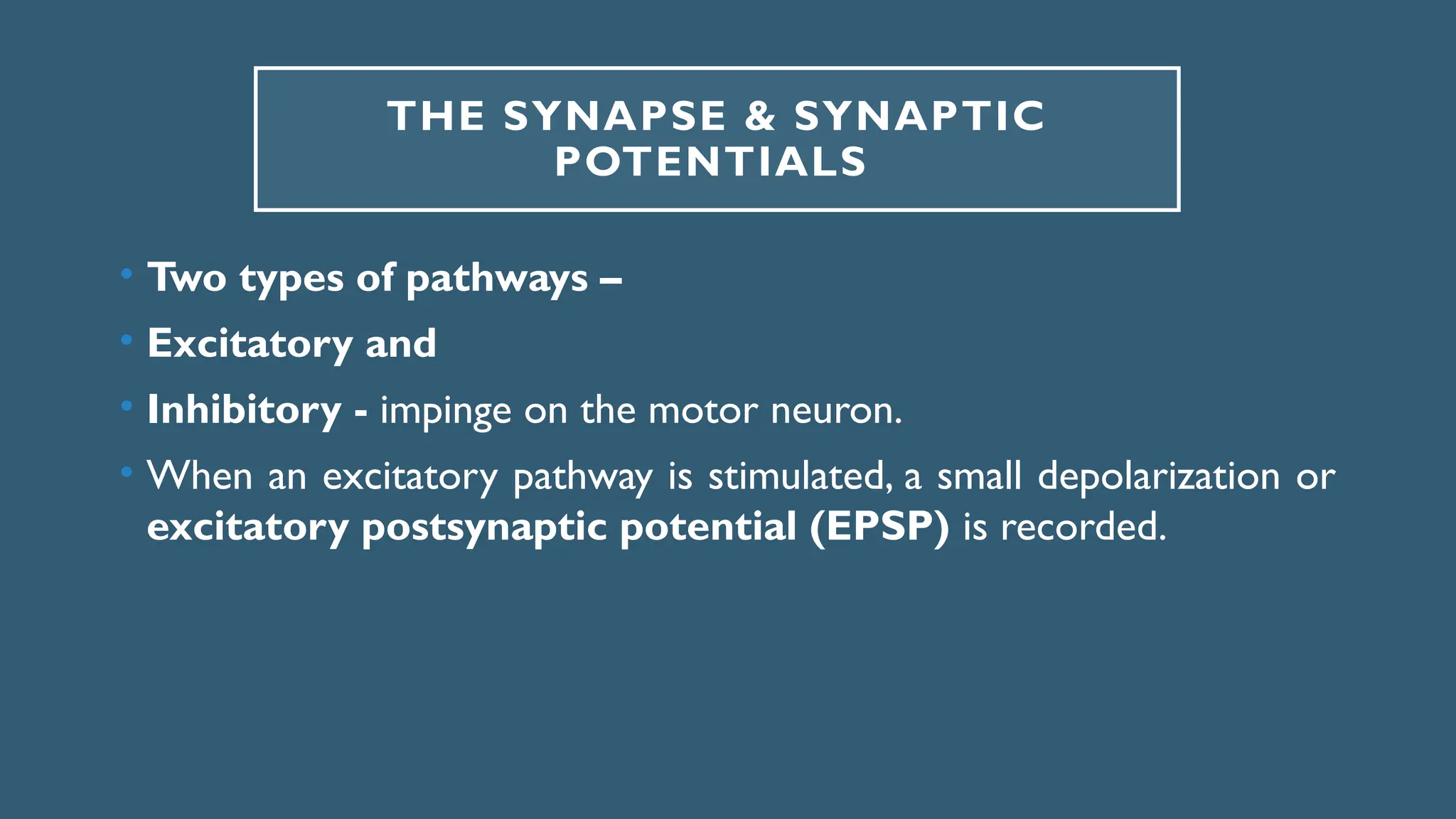 THE SYNAPSE & SYNAPTIC
POTENTIALS
• Two types of pathways –
• Excitatory and
• Inhibitory - impinge on the motor neuron.
• When an excitatory pathway is stimulated, a small depolarization or
excitatory postsynaptic potential (EPSP) is recorded.
 