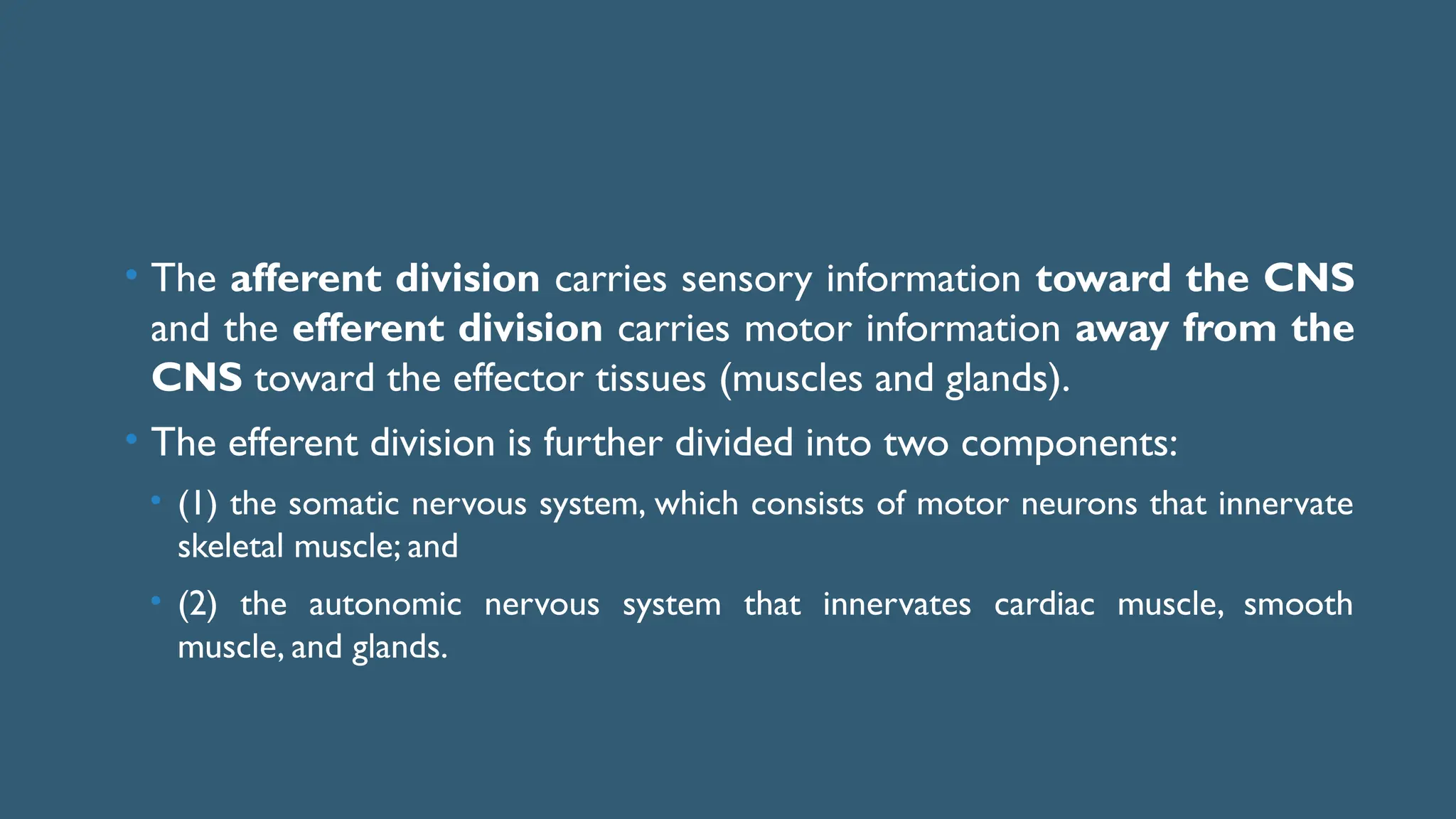 • The afferent division carries sensory information toward the CNS
and the efferent division carries motor information away from the
CNS toward the effector tissues (muscles and glands).
• The efferent division is further divided into two components:
• (1) the somatic nervous system, which consists of motor neurons that innervate
skeletal muscle; and
• (2) the autonomic nervous system that innervates cardiac muscle, smooth
muscle, and glands.
 