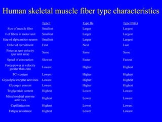 Human skeletal muscle fiber type characteristics
Type I

Type IIa

Type IIb(x)

Size of muscle fiber

Smallest

Larger

Largest

# of fibers in motor unit

Smallest

Larger

Largest

Size of alpha motor neuron

Smallest

Larger

Largest

Order of recruitment

First

Next

Last

Force at zero velocity
(per unit area)

Same

Same

Same

Speed of contraction

Slowest

Faster

Fastest

Force/power at velocity
greater than zero

Lowest

Higher

Highest

PCr content

Lowest

Higher

Highest

Glycolytic enzyme activities

Lowest

Higher

Highest

Glycogen content

Lowest

Higher

Highest

Triglyceride content

Highest

Lower

Lowest

Mitochondrial enzyme
activities

Highest

Lower

Lowest

Capillarization

Highest

Lower

Lowest

Fatigue resistance

Highest

Lower

Lowest

 