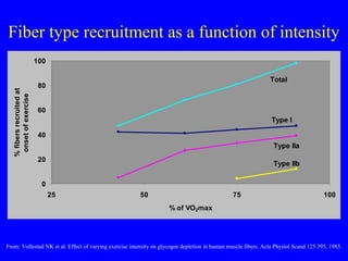 Fiber type recruitment as a function of intensity

% fibers recruited at
onset of exercise

100
Total

80
60

Type I
40
Type IIa
20

Type IIb

0
25

50

75

100

% of VO2max

From: Vollestad NK et al. Effect of varying exercise intensity on glycogen depletion in human muscle fibers. Acta Physiol Scand 125:395, 1985.

 