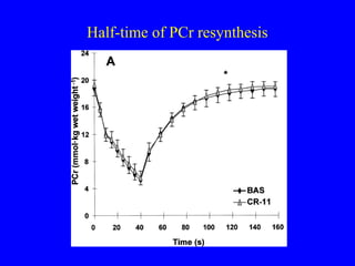 Half-time of PCr resynthesis

 