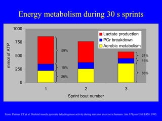 Energy metabolism during 30 s sprints

mmol of ATP

1000
Lactate production
PCr breakdown
Aerobic metabolism

750
59%

500

21%
16%
15%

250

63%

26%

0
1

2

3

Sprint bout number

From: Putman CT et al. Skeletal muscle pyruvate dehydrogenase activity during maximal exercise in humans. Am J Physiol 269:E458, 1995.

 
