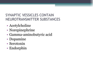 SYNAPTIC VESSICLES CONTAIN NEUROTRANSMITTER SUBSTANCES Acetylcholine  Norepinephrine Gamma-aminobutyric acid Dopamine Serotonin Endorphin 
