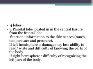 4 lobes: 1. Parietal lobe located in in the central fissure from the frontal lobe. function: information to the skin senses (touch, temperature and pressure). If left hemisphere is damage may lose ability to read/ write and difficulty of knowing the parts of the body. If right hemisphere : difficulty of recognizing the left part of the body. 