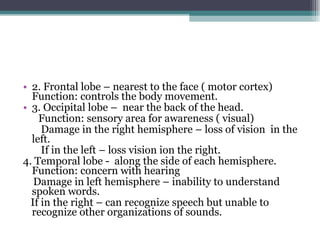 2. Frontal lobe – nearest to the face ( motor cortex)  Function: controls the body movement. 3. Occipital lobe –  near the back of the head. Function: sensory area for awareness ( visual) Damage in the right hemisphere – loss of vision  in the left. If in the left – loss vision ion the right. 4. Temporal lobe -  along the side of each hemisphere.  Function: concern with hearing Damage in left hemisphere – inability to understand spoken words. If in the right – can recognize speech but unable to recognize other organizations of sounds. 