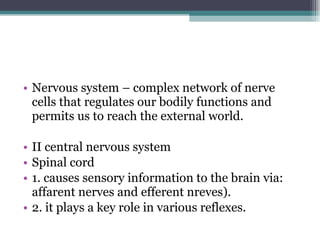 Nervous system – complex network of nerve cells that regulates our bodily functions and permits us to reach the external world. II central nervous system Spinal cord  1. causes sensory information to the brain via: affarent nerves and efferent nreves). 2. it plays a key role in various reflexes. 