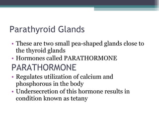 Parathyroid Glands  These are two small pea-shaped glands close to the thyroid glands Hormones called PARATHORMONE PARATHORMONE Regulates utilization of calcium and phosphorous in the body Undersecretion of this hormone results in condition known as tetany 