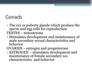 Gonads The sex or puberty glands which produce the sperm and egg cells for reproduction TESTES – testosterone Stimulates development and maintenance of male secondary sexual characteristics and behavior OVARIES – estrogen and progesterone ESTROGEN – stimulates development and maintenance of female secondary sex characteristics  and behavior 