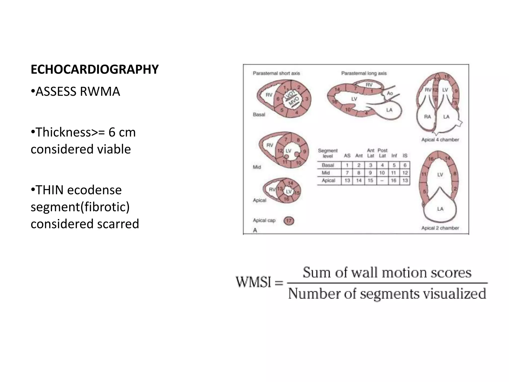 ECHOCARDIOGRAPHY
•ASSESS RWMA
•Thickness>= 6 cm
considered viable
•THIN ecodense
segment(fibrotic)
considered scarred
 