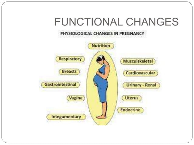 physiological changes during pregancy.pptx | Pregnancy | Reproductive ...