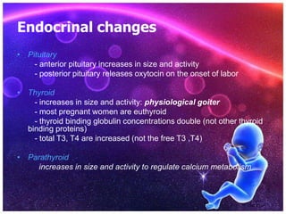 Endocrinal changes
• Pituitary
- anterior pituitary increases in size and activity
- posterior pituitary releases oxytocin on the onset of labor
• Thyroid
- increases in size and activity: physiological goiter
- most pregnant women are euthyroid
- thyroid binding globulin concentrations double (not other thyroid
binding proteins)
- total T3, T4 are increased (not the free T3 ,T4)
• Parathyroid
increases in size and activity to regulate calcium metabolism
 