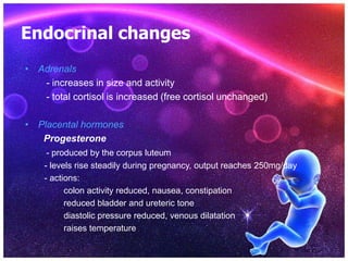 Endocrinal changes
• Adrenals
- increases in size and activity
- total cortisol is increased (free cortisol unchanged)
• Placental hormones
Progesterone
- produced by the corpus luteum
- levels rise steadily during pregnancy, output reaches 250mg/day
- actions:
colon activity reduced, nausea, constipation
reduced bladder and ureteric tone
diastolic pressure reduced, venous dilatation
raises temperature
 