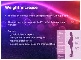 Weight increase
• There is an increase weight of approximately 12.5 Kg at term
• The main increase occurs in the 2nd half of the pregnancy, 0.5
Kg/week
• Causes:
growth of the conceptus
enlargement of the maternal organs
maternal storage of fat
increase in maternal blood and interstitial fluid
 