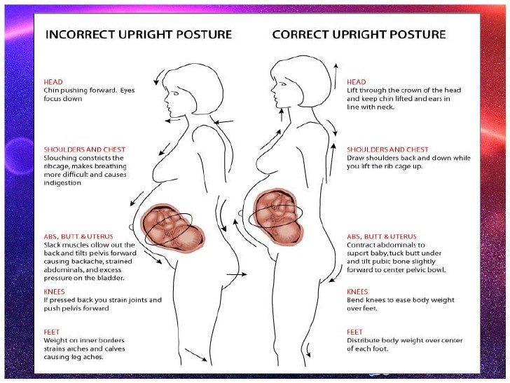 how pregnancy occurs chemical Physiological pregnancy changes during