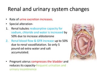 Physiological changes during pregnancy by Agasi | PPTX