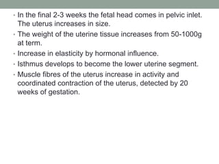 • In the final 2-3 weeks the fetal head comes in pelvic inlet.
The uterus increases in size.
• The weight of the uterine tissue increases from 50-1000g
at term.
• Increase in elasticity by hormonal influence.
• Isthmus develops to become the lower uterine segment.
• Muscle fibres of the uterus increase in activity and
coordinated contraction of the uterus, detected by 20
weeks of gestation.
 