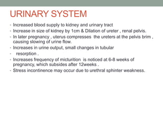 URINARY SYSTEM
• Increased blood supply to kidney and urinary tract
• Increase in size of kidney by 1cm & Dilation of ureter , renal pelvis.
• In later pregnancy , uterus compresses the ureters at the pelvis brim ,
causing slowing of urine flow.
• Increases in urine output, small changes in tubular
• resorption .
• Increases frequency of micturition is noticed at 6-8 weeks of
pregnancy, which subsides after 12weeks .
• Stress incontinence may occur due to urethral sphinter weakness.
 