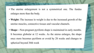 • The uterine enlargement is not a symmetrical one. The fundus
enlarges more than the body.
• Weight: The increase in weight is due to the increased growth of the
uterine muscles, connective tissues and vascular channels.
• Shape—Non-pregnant pyriform shape is maintained in early months.
It becomes globular at 12 weeks. As the uterus enlarges, the shape
once more becomes pyriform or ovoid by 28 weeks and changes to
spherical beyond 36th week
 