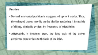 Position
• Normal anteverted position is exaggerated up to 8 weeks. Thus,
the enlarged uterus may lie on the bladder rendering it incapable
of filling, clinically evident by frequency of micturition.
• Afterwards, it becomes erect, the long axis of the uterus
conforms more or less to the axis of the inlet.
 