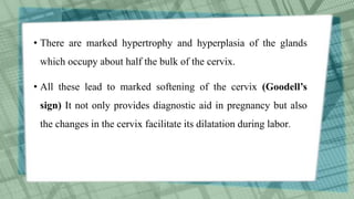 • There are marked hypertrophy and hyperplasia of the glands
which occupy about half the bulk of the cervix.
• All these lead to marked softening of the cervix (Goodell’s
sign) It not only provides diagnostic aid in pregnancy but also
the changes in the cervix facilitate its dilatation during labor.
 