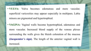 • VULVA: Vulva becomes edematous and more vascular;
superficial varicosities may appear especially in multipara. Labia
minora are pigmented and hypertrophied.
• VAGINA: Vaginal walls become hypertrophied, edematous and
more vascular. Increased blood supply of the venous plexus
surrounding the walls gives the bluish coloration of the mucosa
(Jacquemier’s sign). The length of the anterior vaginal wall is
increased.
 