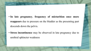 • In late pregnancy, frequency of micturition once more
reappears due to pressure on the bladder as the presenting part
descends down the pelvis.
• Stress incontinence may be observed in late pregnancy due to
urethral sphincter weakness
 