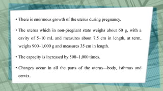 • There is enormous growth of the uterus during pregnancy.
• The uterus which in non-pregnant state weighs about 60 g, with a
cavity of 5–10 mL and measures about 7.5 cm in length, at term,
weighs 900–1,000 g and measures 35 cm in length.
• The capacity is increased by 500–1,000 times.
• Changes occur in all the parts of the uterus—body, isthmus and
cervix.
 