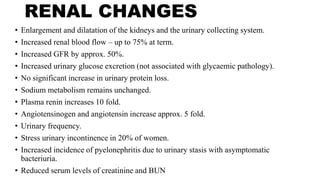 RENAL CHANGES
• Enlargement and dilatation of the kidneys and the urinary collecting system.
• Increased renal blood flow – up to 75% at term.
• Increased GFR by approx. 50%.
• Increased urinary glucose excretion (not associated with glycaemic pathology).
• No significant increase in urinary protein loss.
• Sodium metabolism remains unchanged.
• Plasma renin increases 10 fold.
• Angiotensinogen and angiotensin increase approx. 5 fold.
• Urinary frequency.
• Stress urinary incontinence in 20% of women.
• Increased incidence of pyelonephritis due to urinary stasis with asymptomatic
bacteriuria.
• Reduced serum levels of creatinine and BUN
 