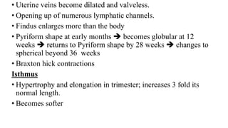 • Uterine veins become dilated and valveless.
• Opening up of numerous lymphatic channels.
• Findus enlarges more than the body
• Pyriform shape at early months  becomes globular at 12
weeks  returns to Pyriform shape by 28 weeks  changes to
spherical beyond 36 weeks
• Braxton hick contractions
Isthmus
• Hypertrophy and elongation in trimester; increases 3 fold its
normal length.
• Becomes softer
 