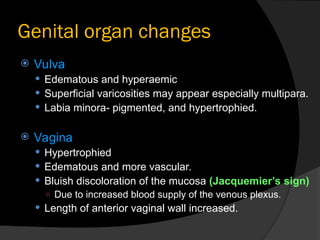 PHYSIOLOGICAL CHANGES DURING PREGNANCY | PPT