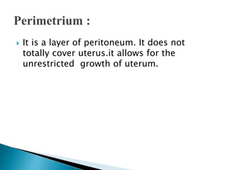  It is a layer of peritoneum. It does not
totally cover uterus.it allows for the
unrestricted growth of uterum.
 