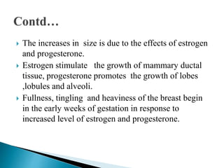  The increases in size is due to the effects of estrogen
and progesterone.
 Estrogen stimulate the growth of mammary ductal
tissue, progesterone promotes the growth of lobes
,lobules and alveoli.
 Fullness, tingling and heaviness of the breast begin
in the early weeks of gestation in response to
increased level of estrogen and progesterone.
 
