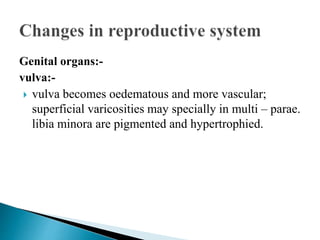 Genital organs:-
vulva:-
 vulva becomes oedematous and more vascular;
superficial varicosities may specially in multi – parae.
libia minora are pigmented and hypertrophied.
 