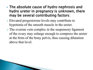 The absolute cause of hydro nephrosis and
hydro ureter in pregnancy is unknown, there
may be several contributing factors:
 Elevated progesterone levels may contribute to
hypotonia of the smooth muscle in the ureter.
 The ovarian vein complex in the suspensory ligament
of the ovary may enlarge enough to compress the ureter
at the brim of the bony pelvis, thus causing dilatation
above that level.
 
