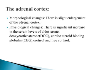  Morphological changes: There is slight enlargement
of the adrenal cortex.
 Physiological changes: There is significant increase
in the serum levels of aldosterone,
deoxycorticosterone(DOC), cortico steroid binding
globulin (CBG),cortisol and free cortisol.
 