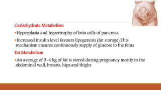 Carbohydrate Metabolism
Hyperplasia and hypertrophy of beta cells of pancreas.
Increased insulin level favours lipogenesis (fat storage).This
mechanism ensures continuously supply of glucose to the fetus
Fat Metabolism
An average of 3-4 kg of fat is stored during pregnancy mostly in the
abdominal wall, breasts, hips and thighs
 