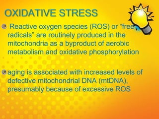 Reactive oxygen species (ROS) or “free
radicals” are routinely produced in the
mitochondria as a byproduct of aerobic
metabolism and oxidative phosphorylation
aging is associated with increased levels of
defective mitochondrial DNA (mtDNA),
presumably because of excessive ROS
 