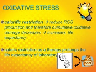 calorific restriction  reduce ROS
production and therefore cumulative oxidative
damage decreases  increases life
expectancy
caloric restriction as a therapy prolongs the
life expectancy of laboratory rodents.
 