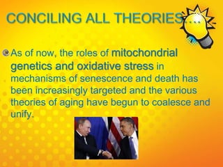 As of now, the roles of mitochondrial
genetics and oxidative stress in
mechanisms of senescence and death has
been increasingly targeted and the various
theories of aging have begun to coalesce and
unify.
 