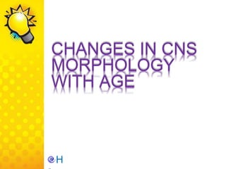CHANGES IN CNS
MORPHOLOGY
WITH AGE
H
 