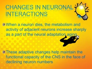 When a neuron dies, the metabolism and
activity of adjacent neurons increase sharply
as a part of the neural adaptation aging.
These adaptive changes help maintain the
functional capacity of the CNS in the face of
declining neuron numbers
 